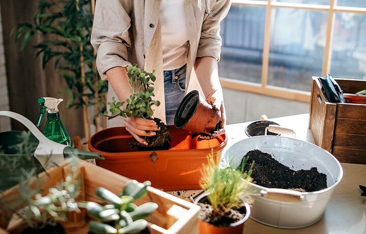 Women fertilize flowers